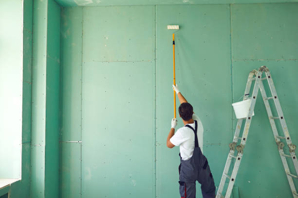 Mold Remediation for Vacation Homes in Girard, IL