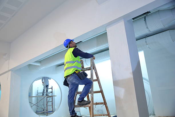Best Industrial Mold Remediation  in Girard, IL