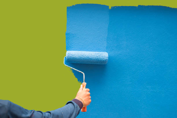 Professional Mold Removal in Girard, IL