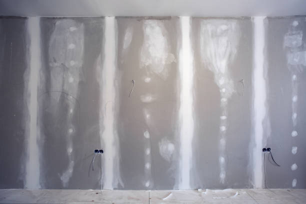 Best Asbestos and Lead Testing During Mold Inspection  in Girard, IL